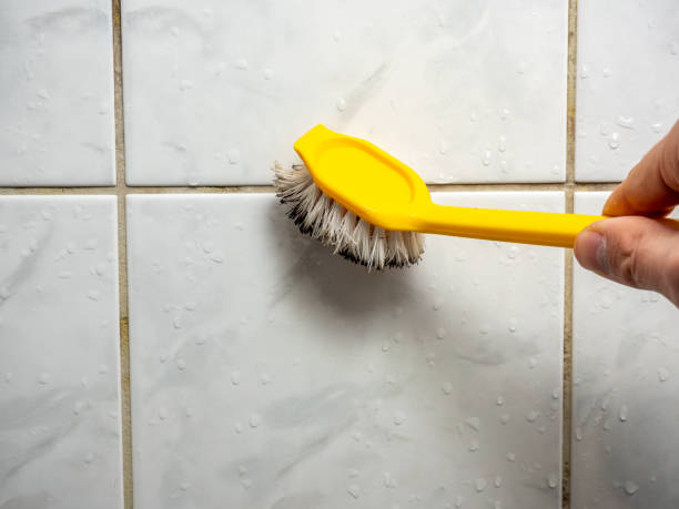 Water Damage Restoration in Manistee, MI