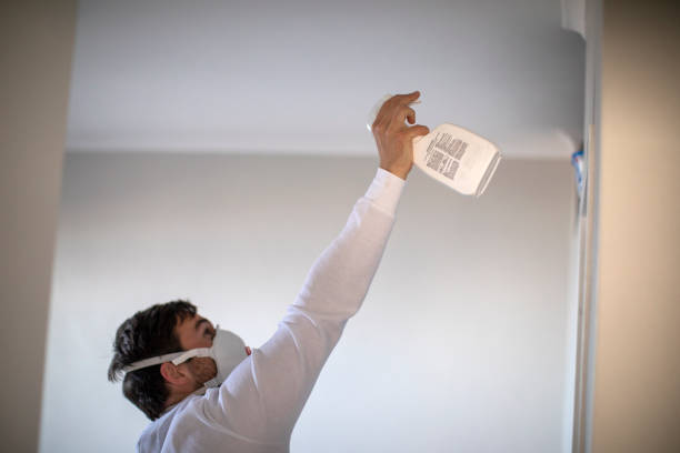 Best Emergency Mold Removal  in Manistee, MI