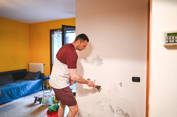 Best Mold Remediation Services  in Manistee, MI